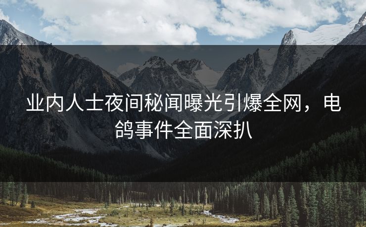 业内人士夜间秘闻曝光引爆全网,电鸽事件全面深扒 业内人士夜间秘闻曝光引爆全网,电鸽事件全面深扒