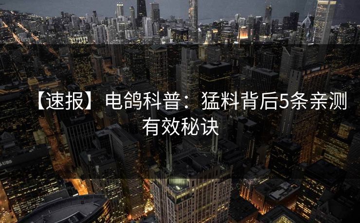【速报】电鸽科普:猛料背后5条亲测有效秘诀 【速报】电鸽科普:猛料背后5条亲测有效秘诀