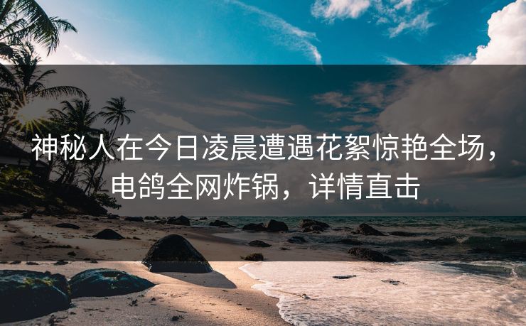 神秘人在今日凌晨遭遇花絮惊艳全场,电鸽全网炸锅,详情直击 神秘人在今日凌晨遭遇花絮惊艳全场,电鸽全网炸锅,详情直击