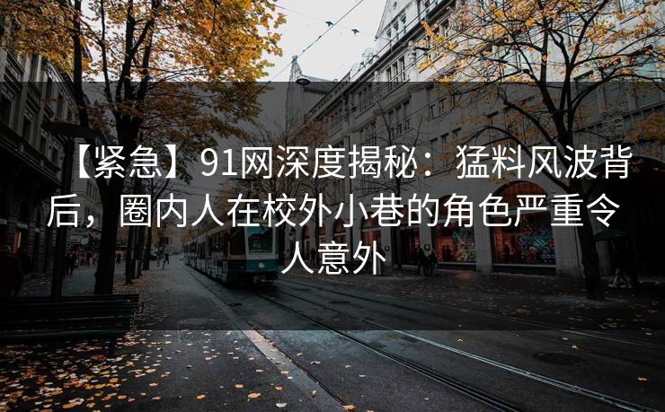 【紧急】91网深度揭秘：猛料风波背后，圈内人在校外小巷的角色严重令人意外
